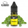 Arôme Menthe DIY Eliquid France 10ml