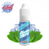 Menthe Fraîche Wpuff Flavors Liquideo 10ml