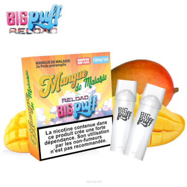 Pack 2 Cartouches Mangue de Malaisie Big Puff Reload