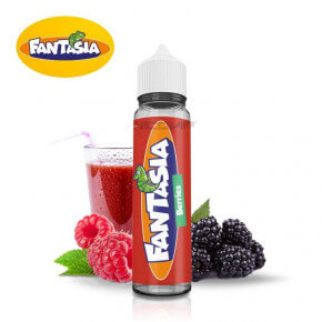 Berries Fantasia Liquideo 50ml