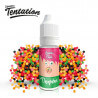 Druginbus Tentation Liquideo 10ml