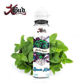 Spear Mint XBud 50ml