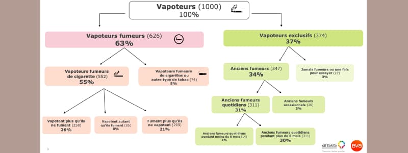 Infographie du tabagisme chez les vapoteurs