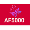 AF5000 Elfbar