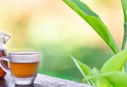 Comment faire une infusion CBD ?